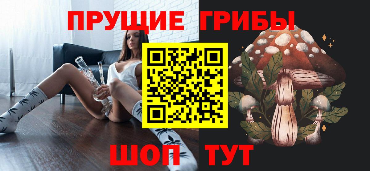 Владикавказ  Галлюциногенные грибы Cubensis  Вход с VPN 